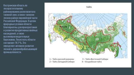 Костромская область по лесорастительному районированию располагается в таежной зоне, в южно-таежном лесном районе европейской части Российской Федерации.