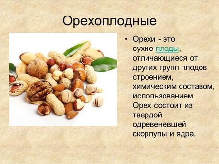 Орехоплодные Орехи - это сухие плоды, отличающиеся от других групп плодов строением, химическим составом, использованием. Орех состоит из твердой одревеневшей.