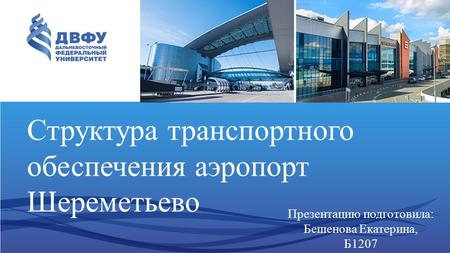 Структура транспортного обеспечения аэропорт Шереметьево 