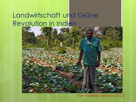 Landwirtschaft und Grüne Revolution in Indien 