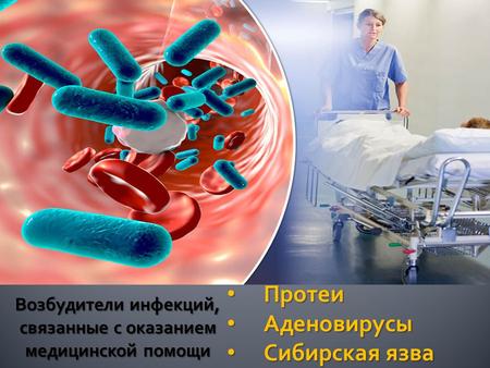 · Протеи Протеи Аденовирусы Аденовирусы Сибирская язва Сибирская язва.